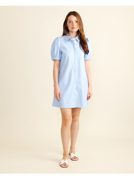 Anderson Dress Cornflower