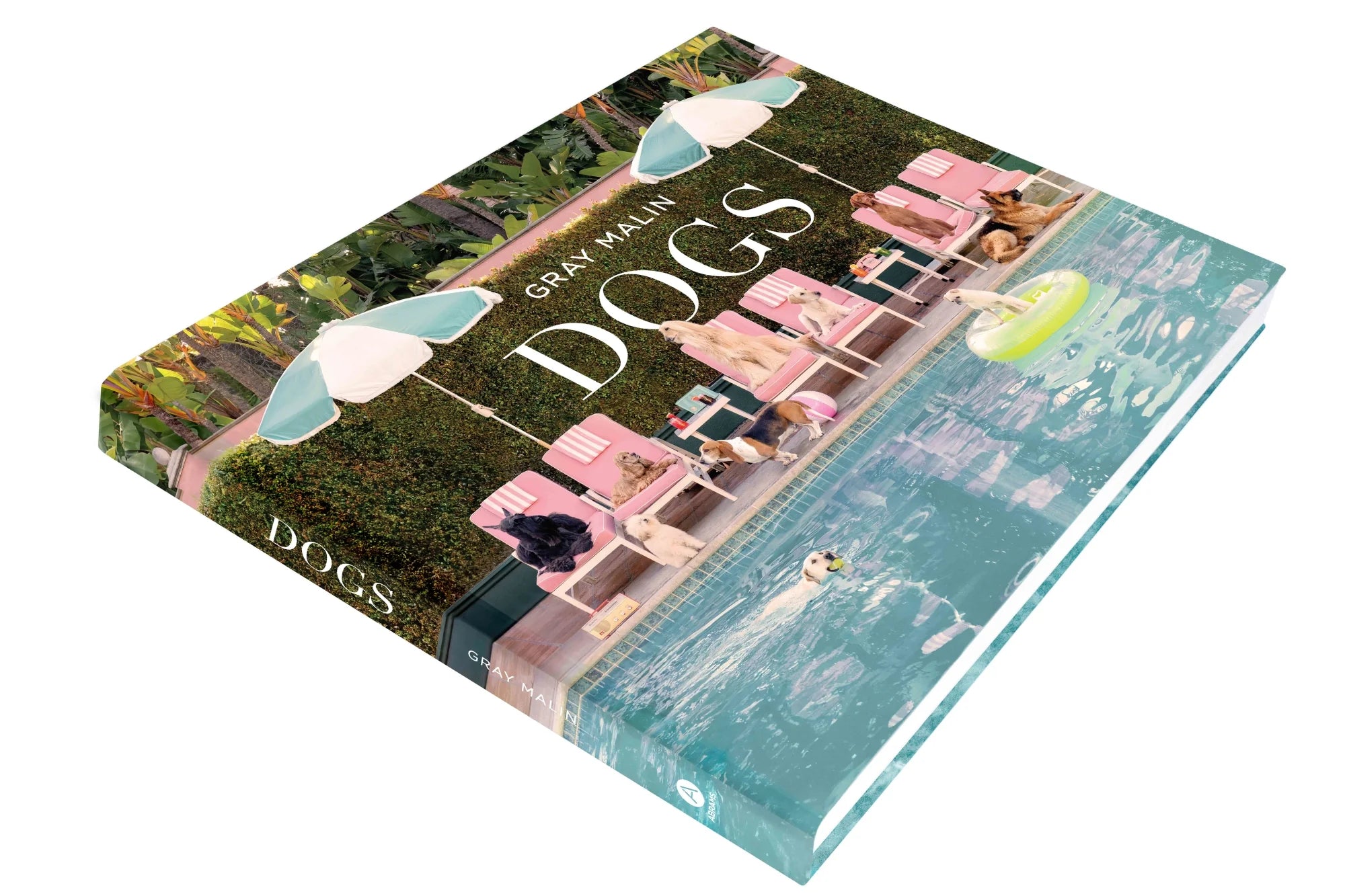 BMH - Gray Malin 'Dogs' Coffee Table Book