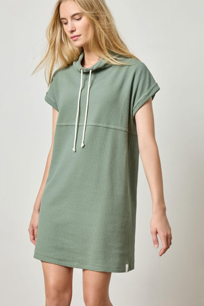 Roll Sleeve Seamed Dress Seagrass